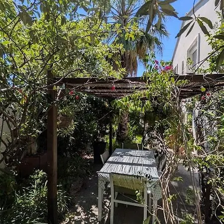 Lumineux Avec Jardin Privatif Lägenhet Perpignan