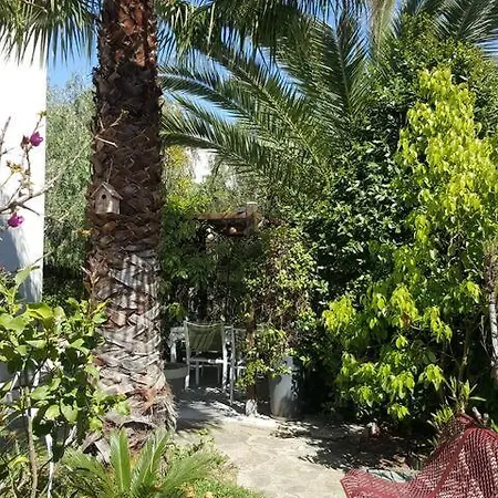 Lumineux Avec Jardin Privatif * Perpignan