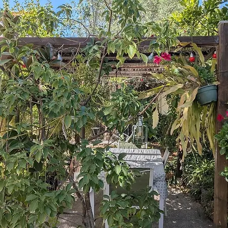 Lumineux Avec Jardin Privatif Lägenhet *